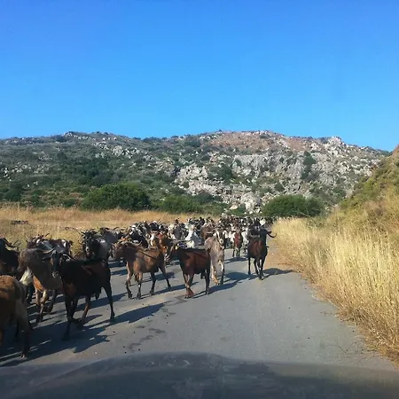 Philothea Mani Greece