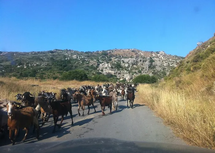 Philothea Mani Greece